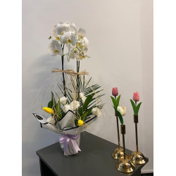 Beyaz Orkide Aranjman