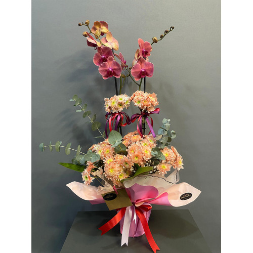 Renkli Orkide Aranjman