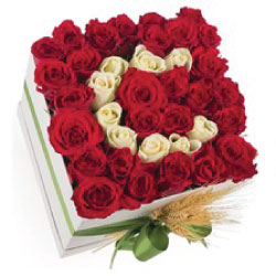 Premium Harfli Kutuda Kırmızı Güller