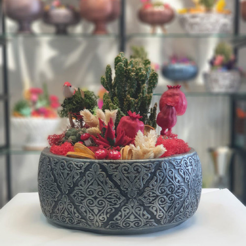 Büyük Boy Teraryum