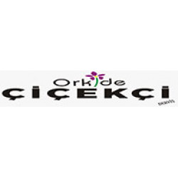 Beyaz Papatya Buketi