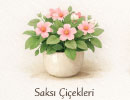 Saksı Çiçekleri